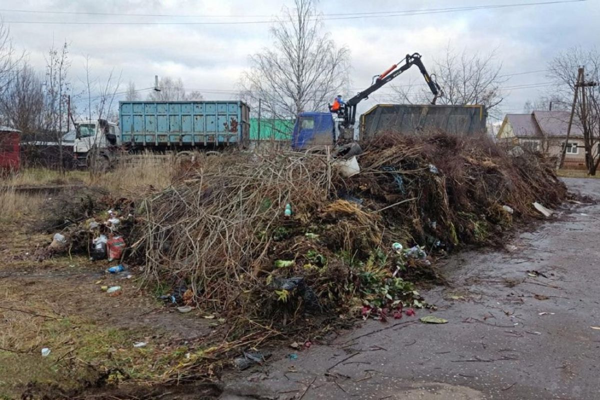 Как утилизировать сухие ветки без вреда окружающей среде