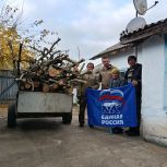 В Нижнегорском районе при поддержке депутатов-единороссов организовали работу по обеспечению дровами социально незащищенных категорий граждан