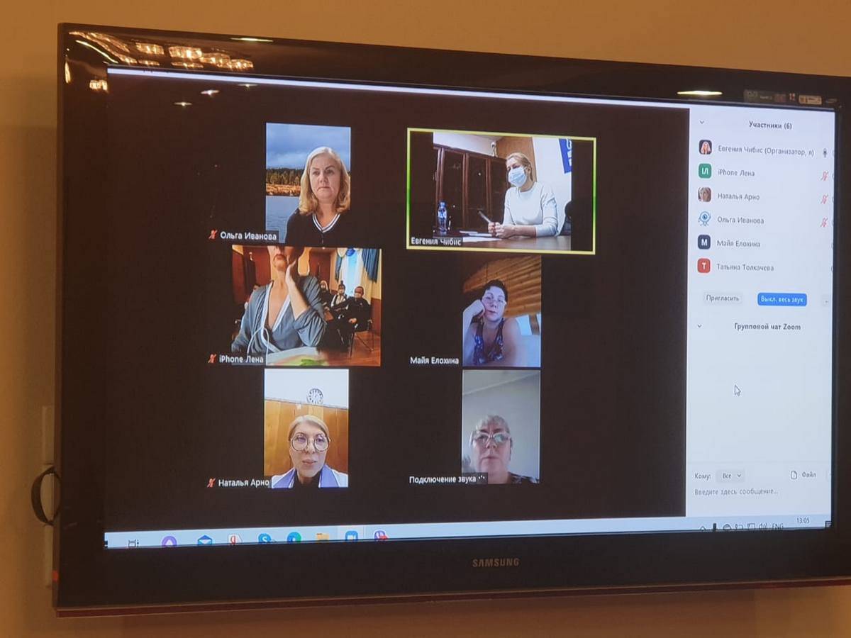 Евгения Чибис провела онлайн-встречу с «серебряными волонтерами»