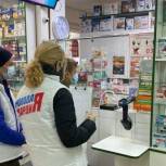 В Курчатовском районе народные контролеры проверили наличие и стоимость медицинских масок в аптеках и торговых сетях