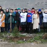 Единороссы высадили деревья в сквере города Дудинка Красноярского края