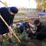 Единороссы в районах Марий Эл посадили «Сады Победы»