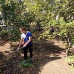 В Новошахтинске «молодогвардейцы» помогли провести уборку дворов жителей старшего возраста