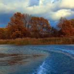Работы по расчистке реки Воронеж в Липецкой области высоко оценили в Федеральном агентстве водных ресурсов