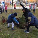 Партийную акцию по высадке деревьев в детском саду поддержали  семьи Центрального района