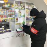 Активисты «Единой России» проверили аптеки Приуральского района