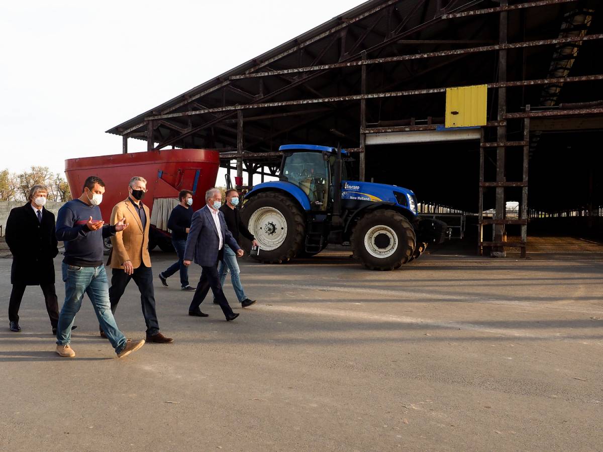 В Шпаковском округе будет увеличено молочное производство