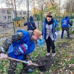 В сквере «Кораблик» в Пскове появился «Сад памяти»