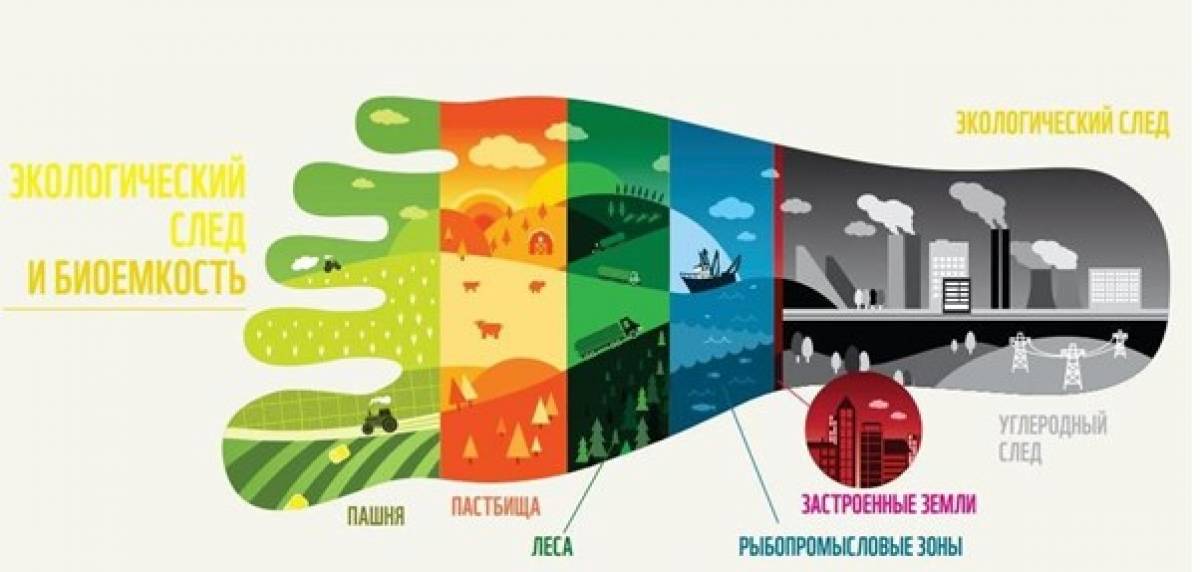 Экологический след фото