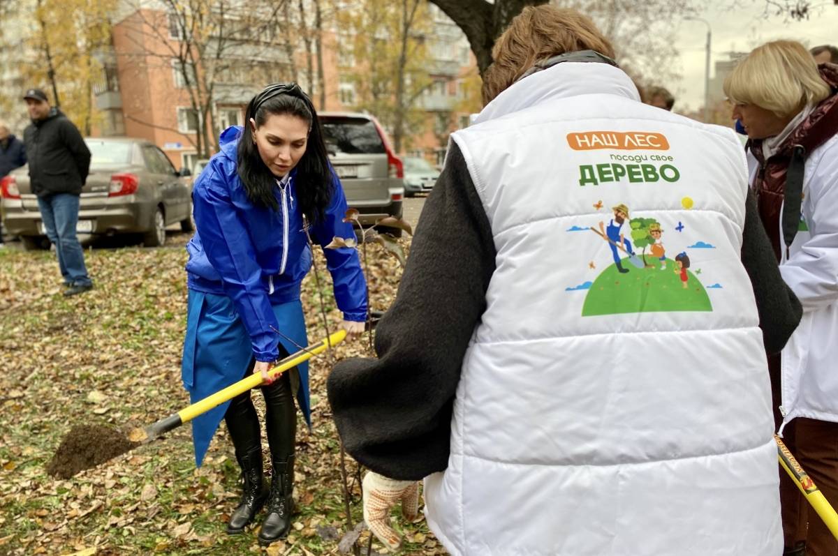 Осенняя посадка деревьев прошла в центральной части города Видное