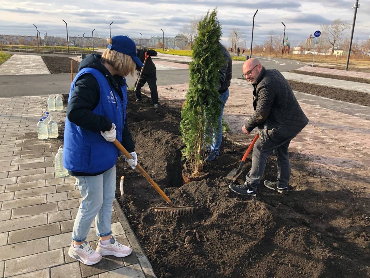 В парке «Дружбы» в Тракторозаводском районе Челябинска высадилитуи