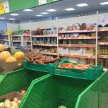 В Миассе «Народный контроль» выяснил, сколько стоят овощи в магазинах и на рынках