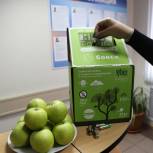 В Казани при поддержке «Единой России» стартовала экологическая акция «Зеленые игры»