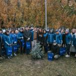 В селе Онохино при поддержке «Единой России» высадили молодые хвойники