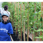 В Пуровском районе будут готовить агрономов