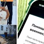 В Лабытнанги создан специальный чат для семей мобилизованных граждан для оказания бытовой помощи