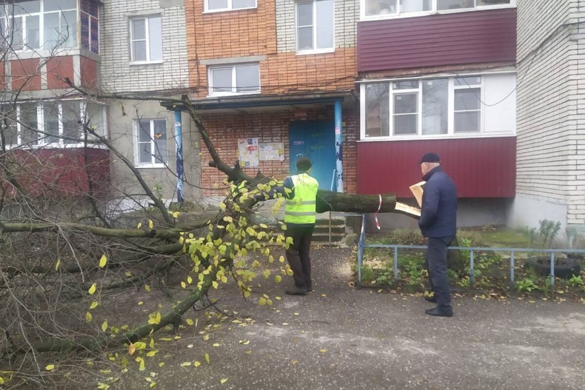 Вадим Супиков оперативно откликнулся на обращение жителей улицы Чаадаева