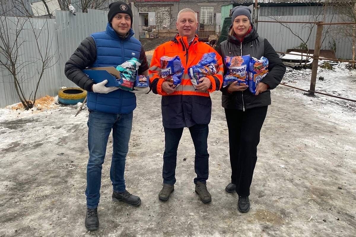 «Единая Россия» поддержала приют для животных в Оленегорске