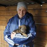 Партпроект «Защита животного мира»: Волонтёры помогают животным из приюта найти себе дом
