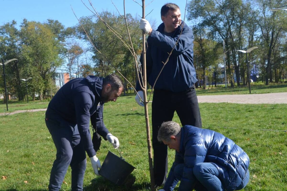 Новости день дона. День экологии. Древонасаждение в Адыгее. Город Азов день древонасаждения.