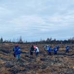 Нижегородские активисты «Единой России» приняли участие в акции «Сохраним лес»