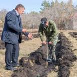 Депутаты «Единой России» помогли высадить липовую аллею в Курганской области