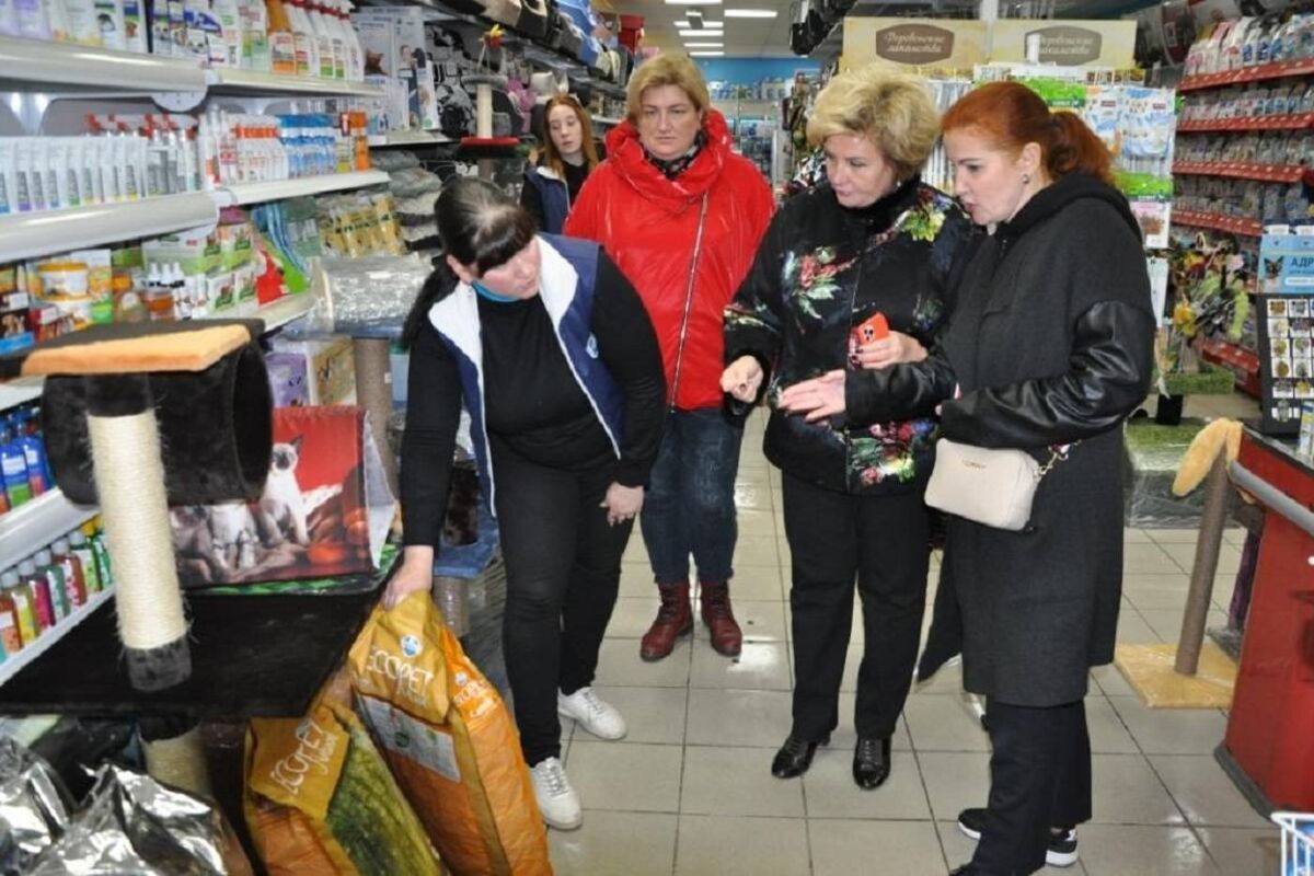 «Единая Россия» помогла приютам для животных в Мурманской области и Татарстане