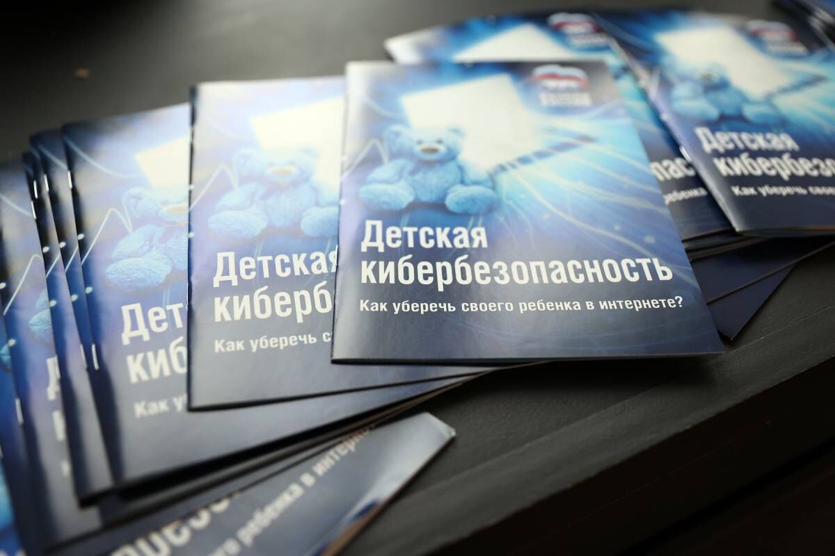 Петербургские единороссы презентовали региональный проект по защите детей в  интернет-пространстве