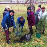 В Прокопьевске единороссы провели субботник и высадили саженцы деревьев