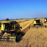 Краснодарский край получит 924 млн рублей из федерального бюджета на поддержку сельхозпроизводителей