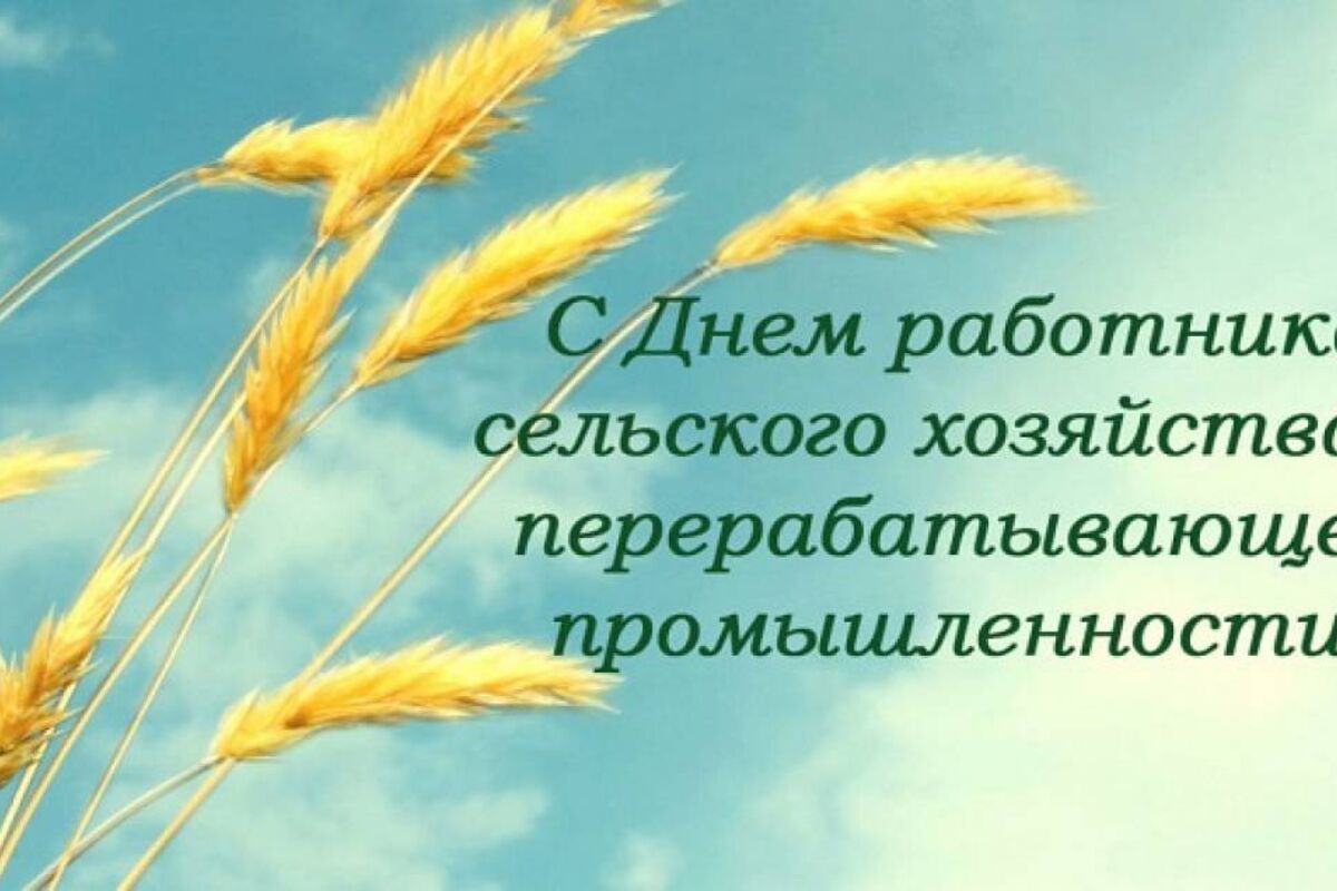 С Днем С Х Работника Картинки