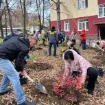 Активисты высадили кустарники у филиала городской поликлиники №7 в Нижнем Новгороде
