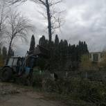 После обращения к единороссам во Льве Толстом убрали сухие деревья около детского сада