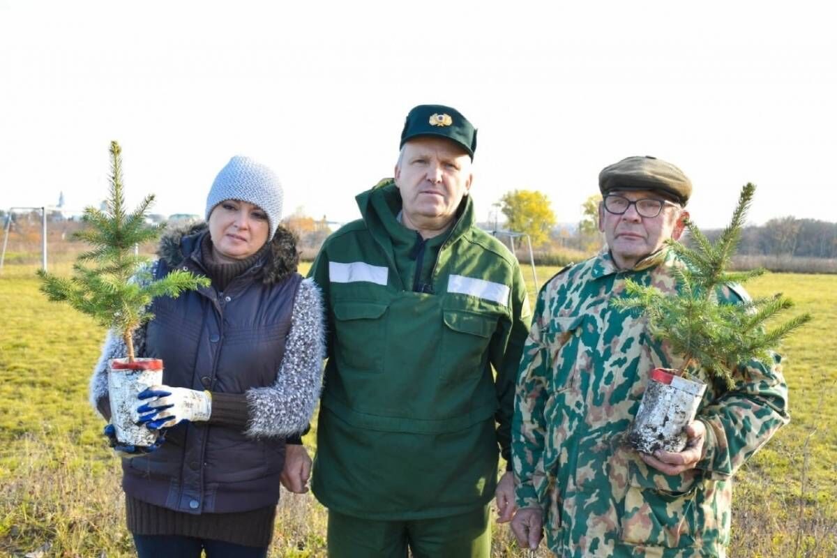 Кузнецкое сельское поселение. Субботник посадка деревьев. Аллея маршалов в Тверской области. Липецкий сейчас. Выборы Лебедянский район СССР.