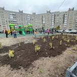 «Единая Россия» проверила качество озеленения дворовой территории в Мурманске