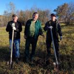 В Липецкой области активисты «Единой России» высадили липовую аллею и добились ремонта сельской дороги
