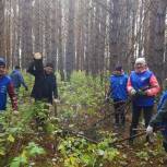 Очистка лесов, родников и берегов рек: «Единая Россия» провела экологические акции в регионах