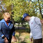 Активисты «Единой России» в Хабаровске высадили корейские кедры