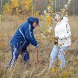 Активисты «Единой России» приняли участие в масштабной высадке хвойных деревьев в регионах