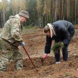 Депутаты «Единой России» приняли участие во всероссийской акции «Сохраним лес!»