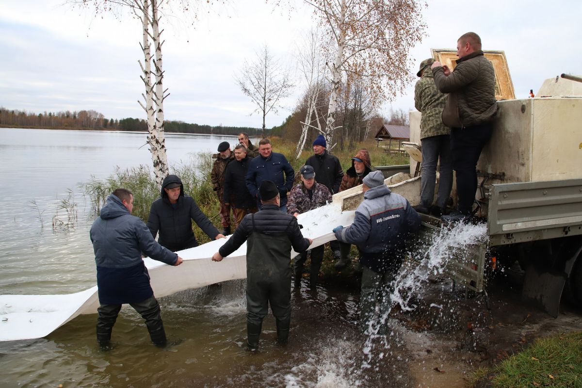 Луховицкое отделение «Единой России» провело зарыбление озера в городе  Луховицы