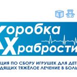 Сторонники «Единой России» запускают ежегодную акцию «Коробка храбрости»