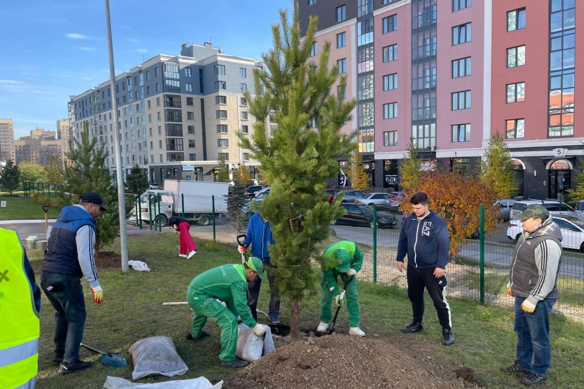 В честь дня рождения Владимира Путина партпроект «Зеленая экономика» вместе с жителями высадил деревья около красноярской школы
