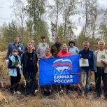 Грибановские единороссы провели экологическую акцию
