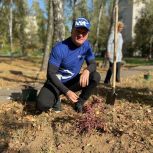Дмитрий Дениско принял участие в экологической акции в Люберцах