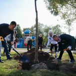 В парке за ДК «Мир» в Реутове в рамках акции «Наш лес. Посади свое дерево» высадили 153 дерева