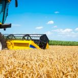 Российское село: В Пензенской области уборочная кампания зерновых завершена на 96%