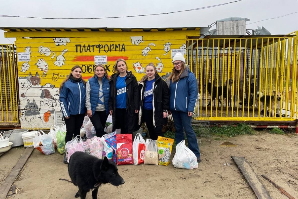 Активисты «Единой России» и МГЕР оказывают помощь приютам для бездомных животных