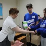 «Единая Россия» передала корм и лекарства приюту для бездомных кошек в Туле