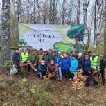 Партийцы Сергиева Посада присоединились к акции «Чистый лес»